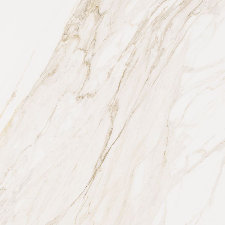 Omnia Calacatta Levigato 48 x 48